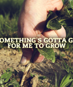 Something's Gotta Go For Me To Grow