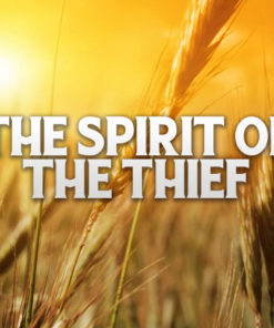 Spirit Of The Thief