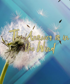 The Answer Is In The Wind III