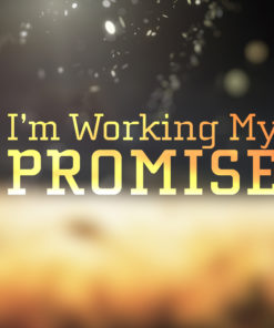 I'm Working My Promise