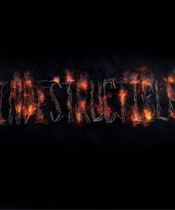 Indestructible