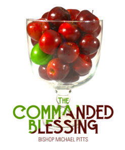 Commanded Blessing Cover